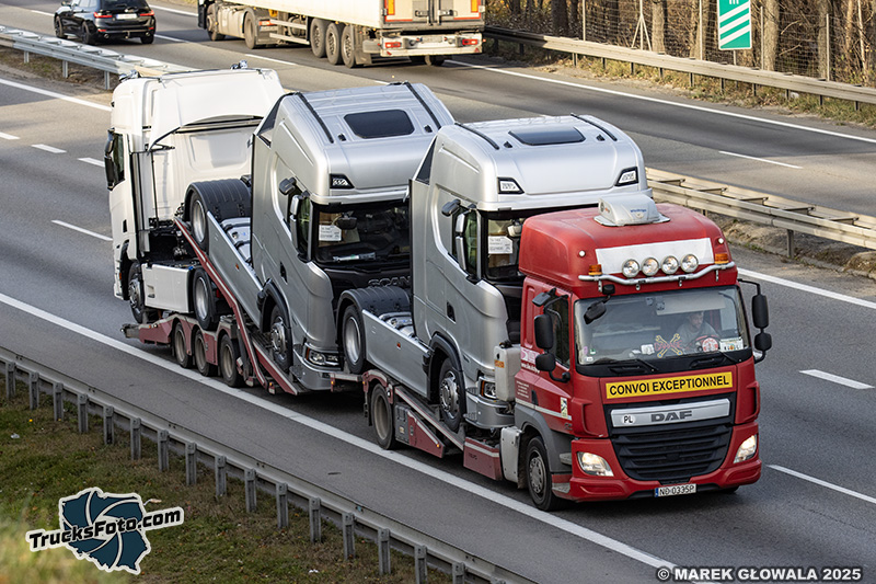 DAF CF Silva.jpg