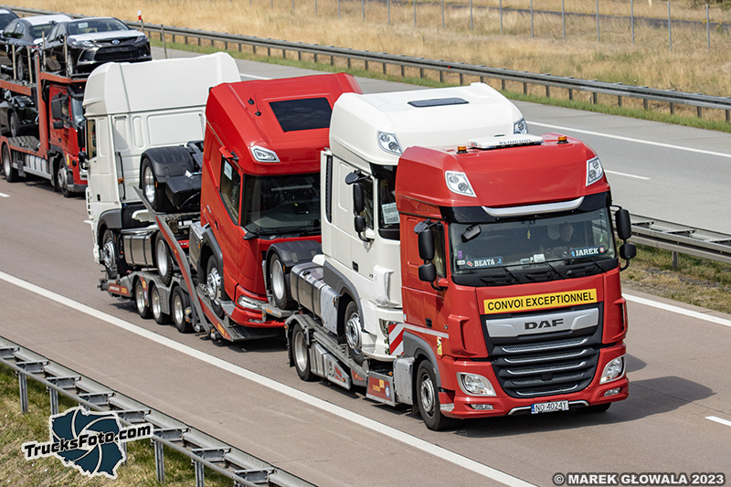 DAF XF - Silva.jpg