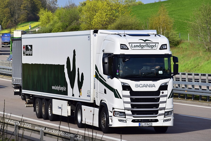 _DSC2858 LANDGEFLUGEL-crop-SCANIA S.JPG