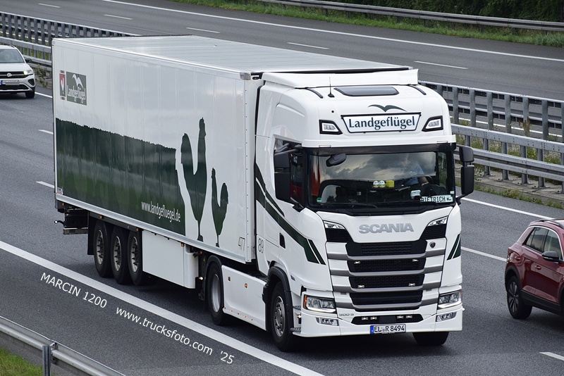 _DSC7855 LANDGEFLUGEL-crop-SCANIA S.JPG