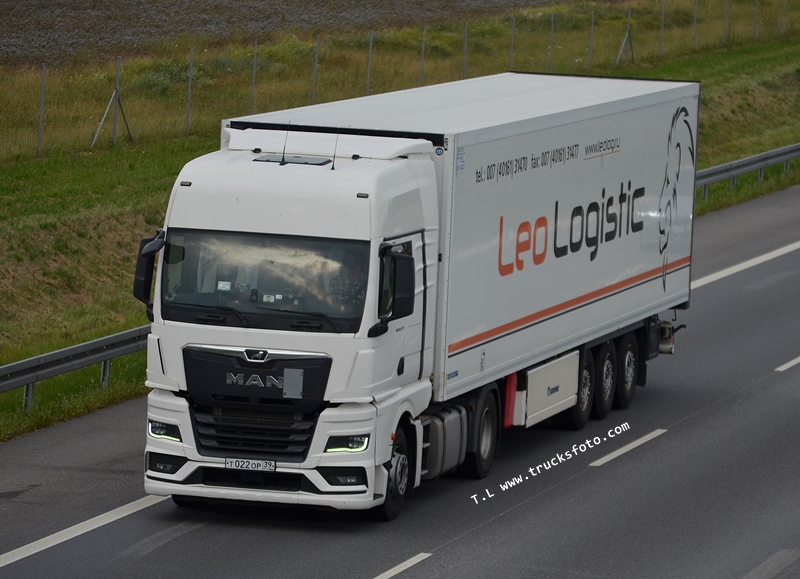 leo logistic 1.JPG