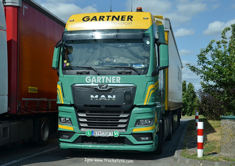 gartner.JPG