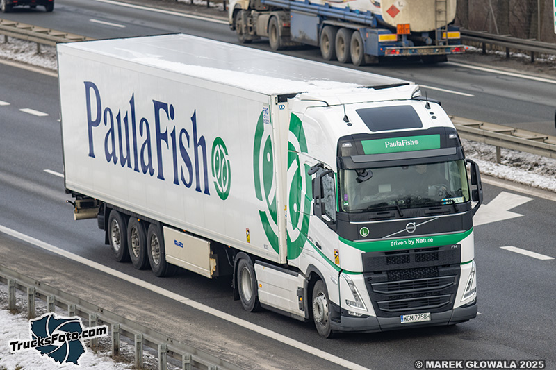 Volvo FH5 - Paula Fish.jpg
