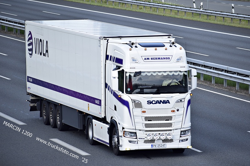 _DSC8081 AM HERMANOS VIOLA KALISZ-crop-SCANIA S500.JPG