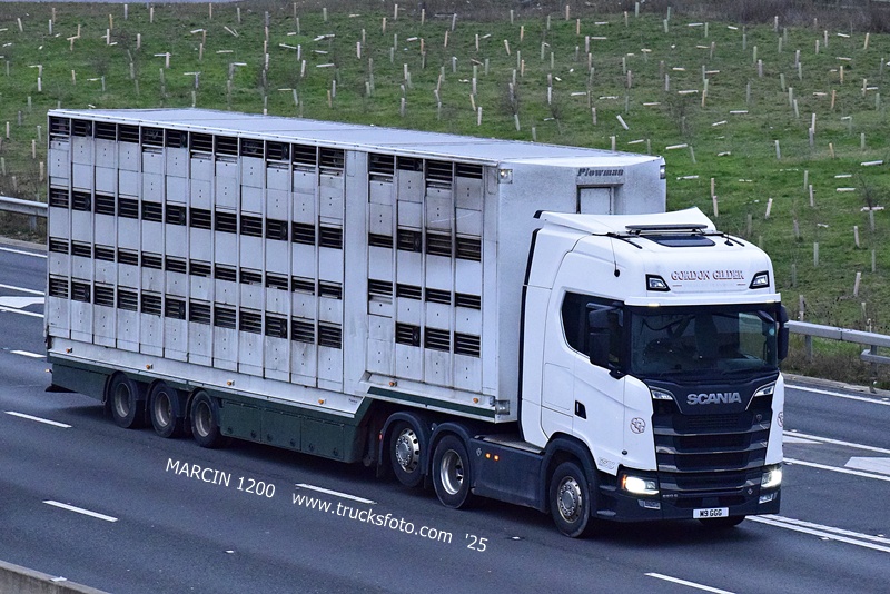_DSC0658 GORDON GILDER-crop-SCANIA S650 V8.JPG