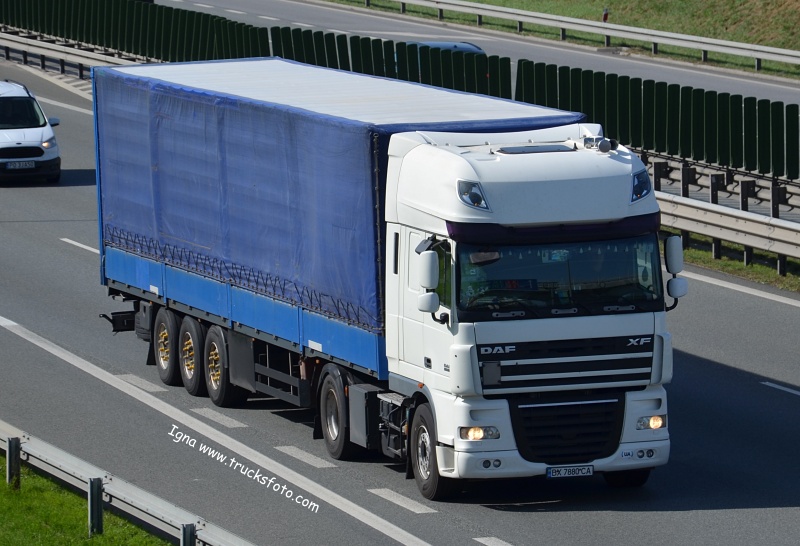 dafxf105#2.JPG