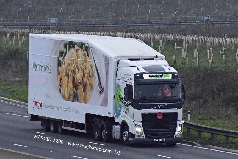 _DSC9872 BUFFALOAD-crop-VOLVO FH4.JPG