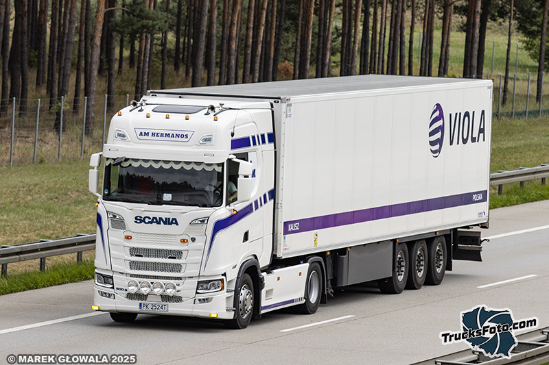 Scania 500S Super Viola AM Hermanos.jpg