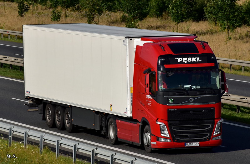 Pęski_Volvo_FH4_PL.jpg