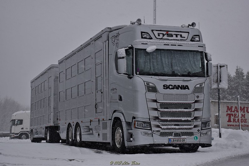 51885794026_c90b688dbd_c (1).jpg