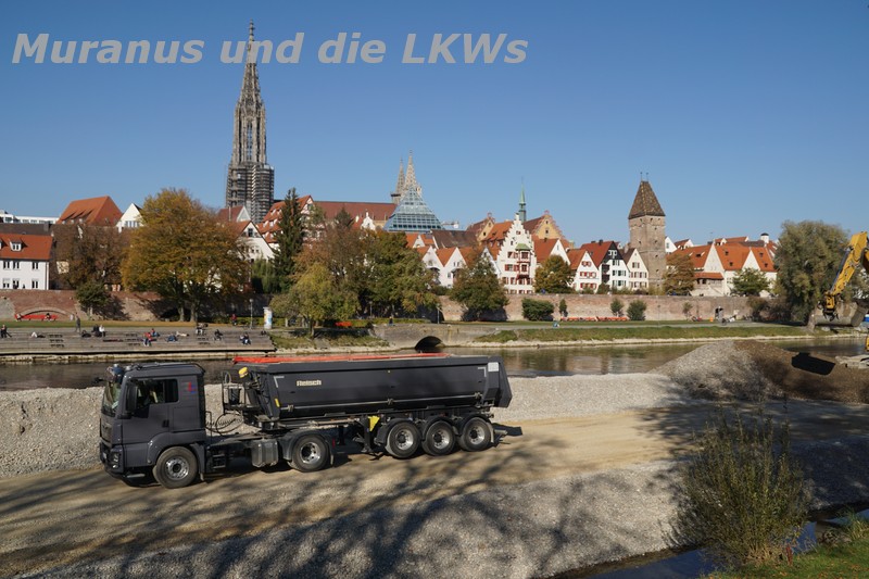 an der Donau in Ulm