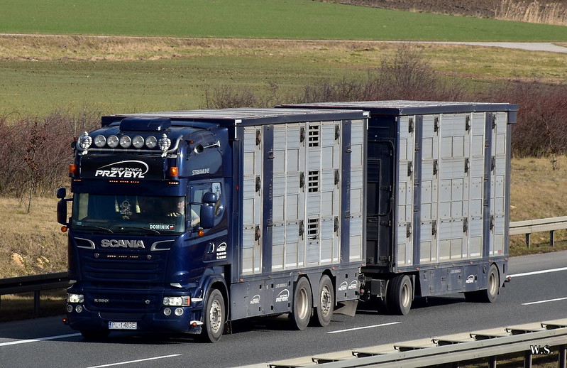 Przybyl_Scania_SL_PL.jpg