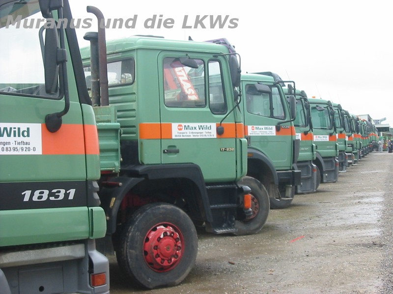 Open house in Berkheim