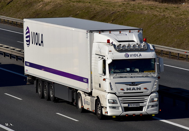 Viola_MAN_TGX_PL.jpg