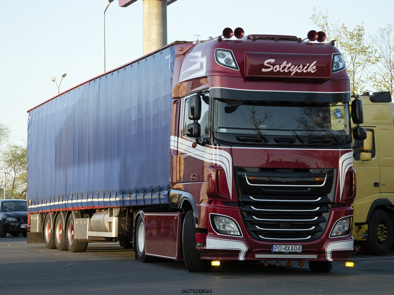 DSC_0887kopia1 tf.jpg