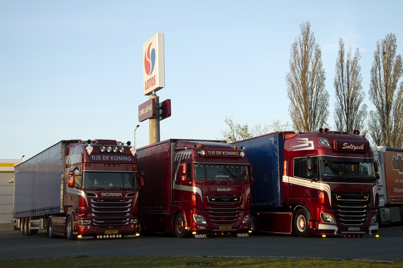 DSC_0943kopia1 tf.jpg