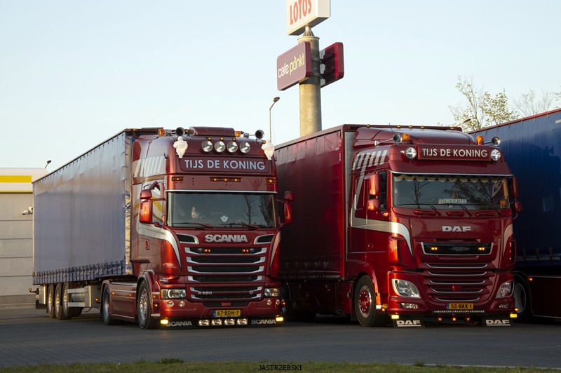 DSC_0944kopia1 tf.jpg