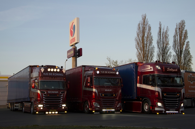 DSC_0961kopia1 tf.jpg