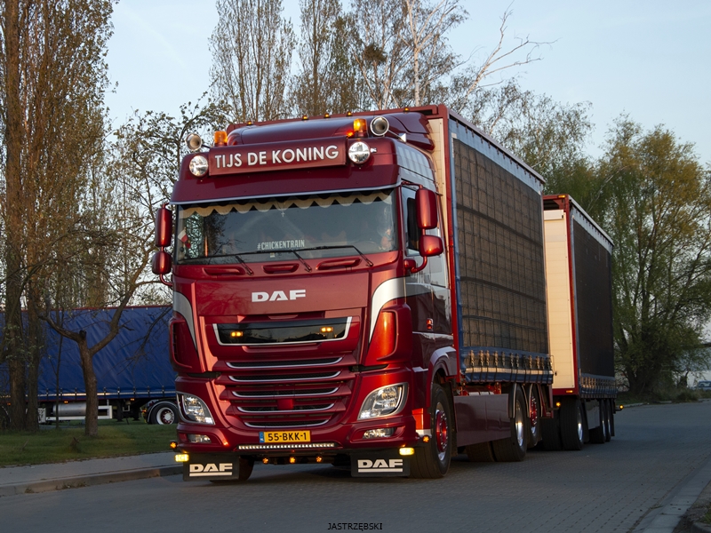 DSC_0976kopia1 tf.jpg