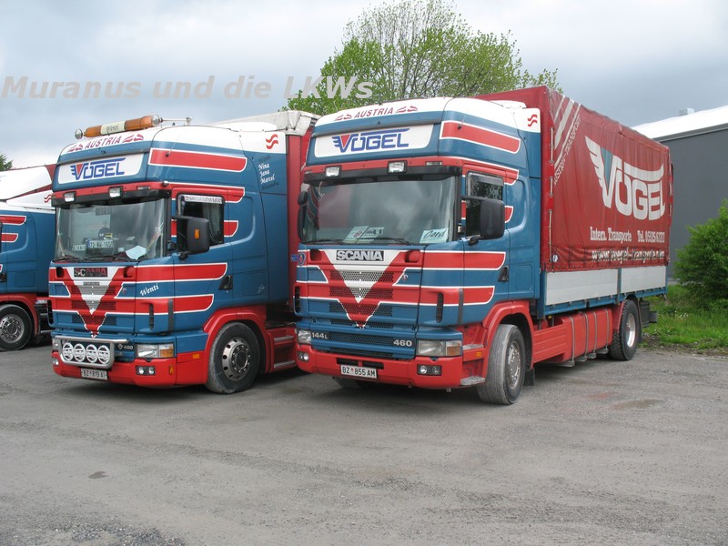 037_Scania-144L460-Vögel-Österreich-BZ-855-AM_20100515_003.JPG