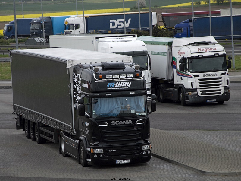 DSC_1081kopia tf.jpg