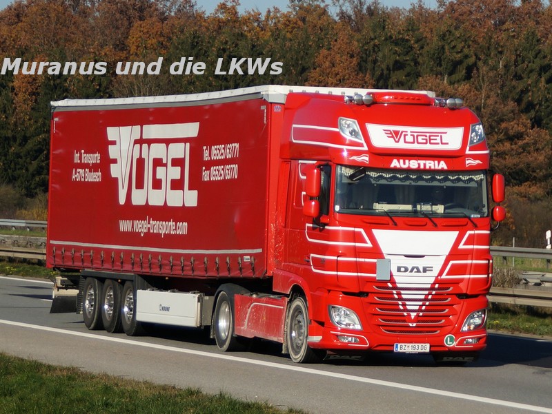 164_DAF-XF-E6-xxx-Vögel-Österreich_20151105_001.jpg