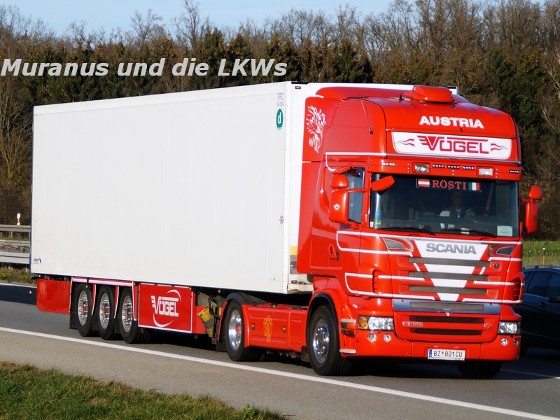 168_Scania-R500-Vögel-Österreich_20151116_001.jpg