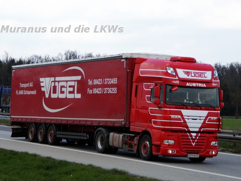 173_DAF-XF-105-xxx-Vögel-Österreich_20160404_002.jpg