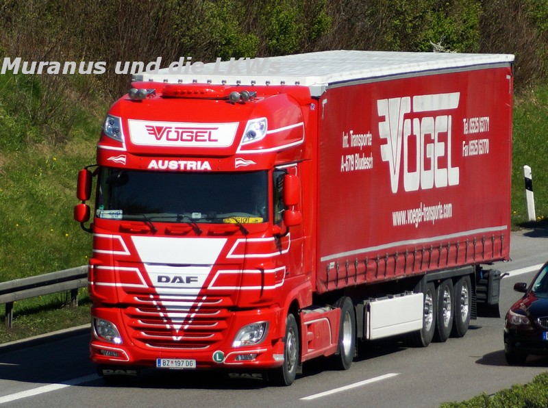178_DAF-XF-E6-xxx-Vögel-Österreich_20160429_001.JPG