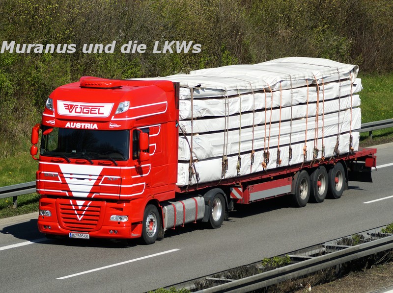 181_DAF-XF-105-xxx-Vögel-Österreich_20160429_010.JPG