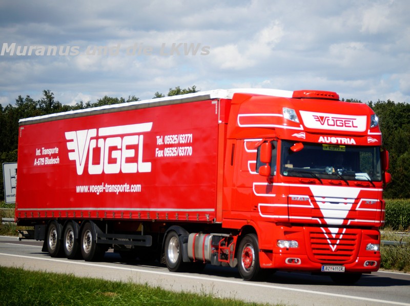 196_DAF-XF-105-xxx-Vögel-Österreich_20160822_001.JPG