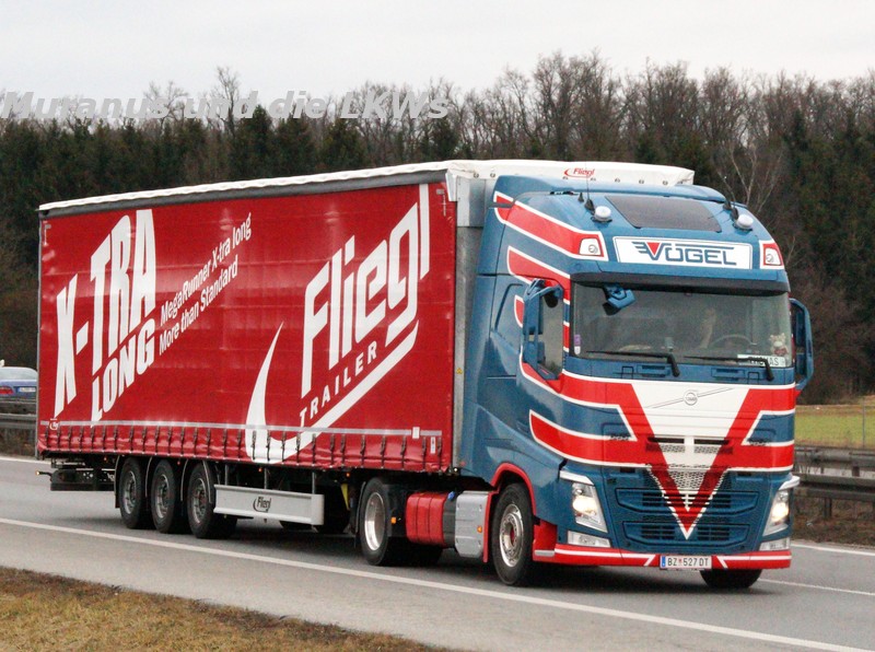 198_Volvo-FH-xxx-Vögel-Österreich_20170220_001.JPG