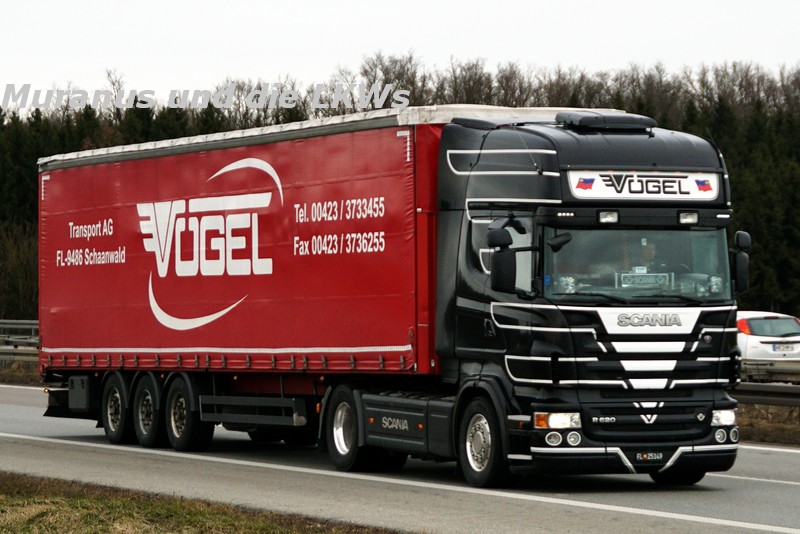 202_Scania-R620-Vögel-Österreich_20180309_001.JPG
