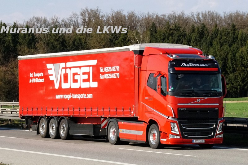204_Volvo-FH-xxx-Vögel-Nussbaumer-Österreich_20180417_001.JPG