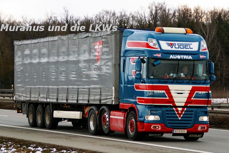 224_DAF-XF-105-xxx-Vögel-Österreich_20190129_001.JPG
