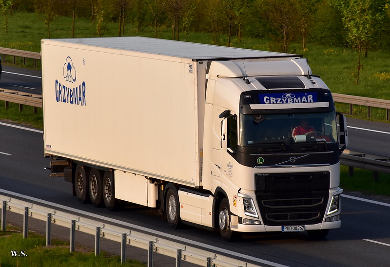 Grzybmar_Volvo_FH4_PL.jpg