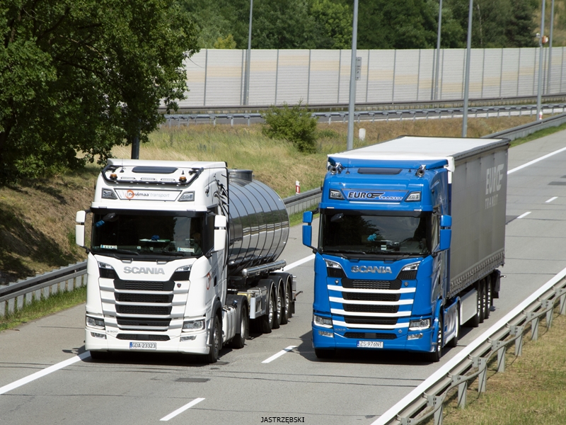 DSC_0237kopia tf.jpg