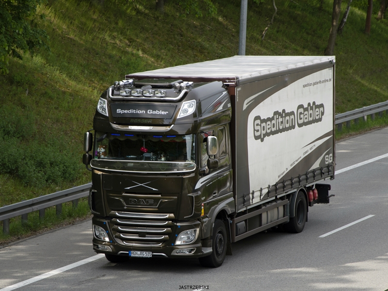 DSC_0157kopia tf.jpg