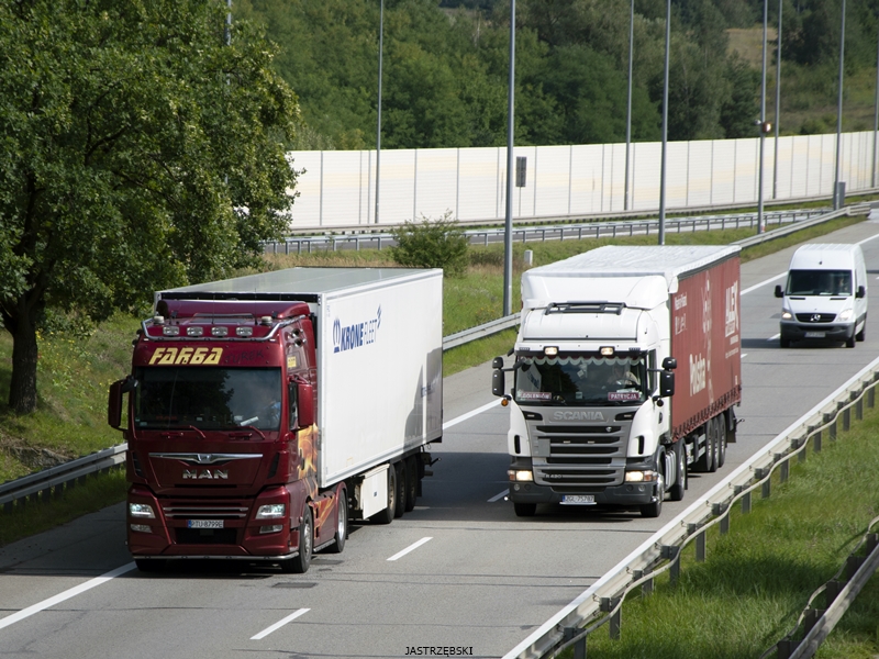 DSC_1475kopia tf.jpg