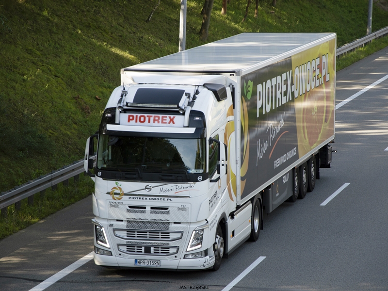 DSC_0022kopia tf.jpg