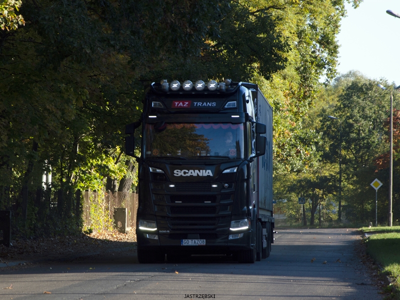 DSC_0560kopia tf.jpg