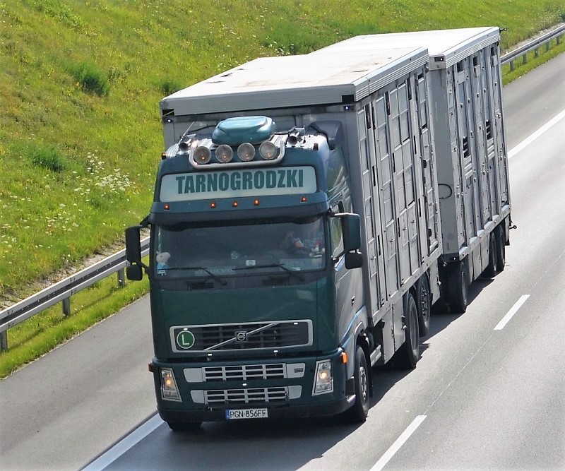 tarnogrodzki.jpg