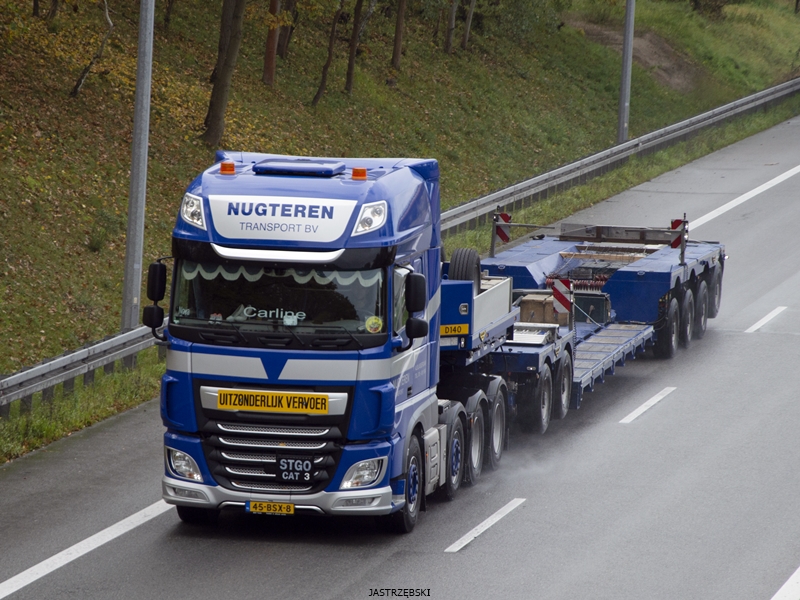 DSC_0214kopia tf.jpg