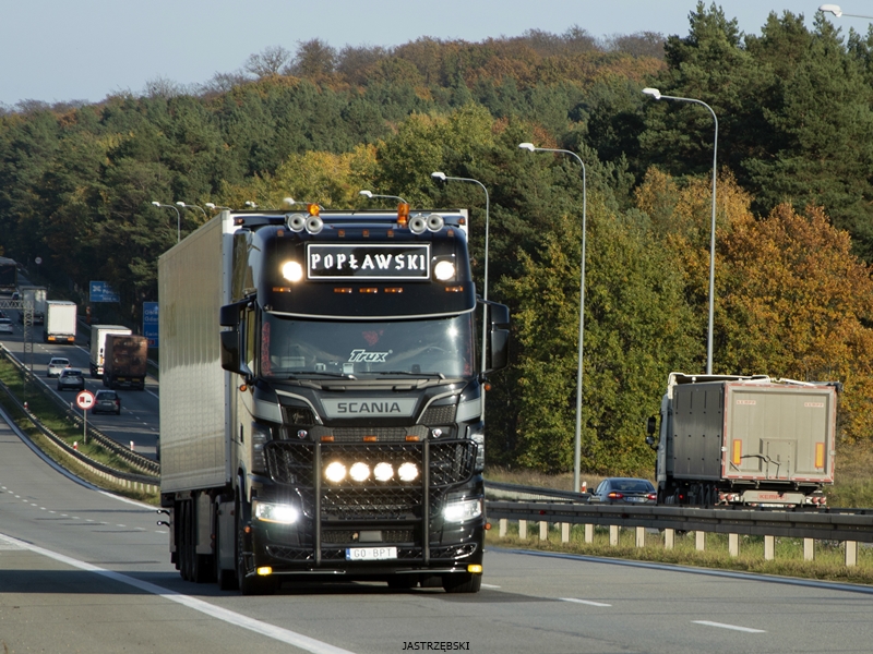 DSC_0417kopia tf.jpg