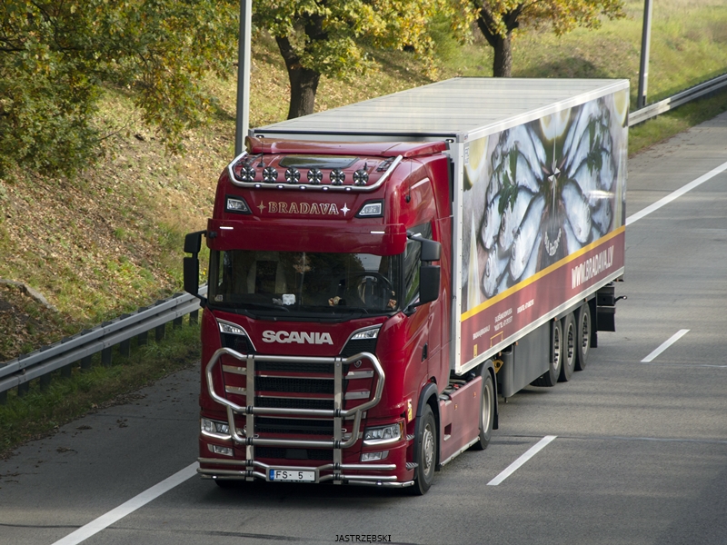 DSC_0503kopia tf.jpg