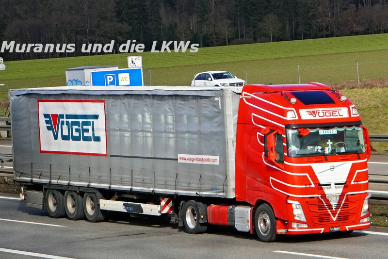 Volvo-FH-500-Vögel-Österreich_20210217_001.JPG