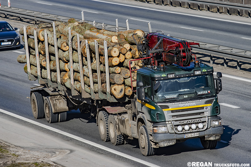 drewno92 (3).jpg