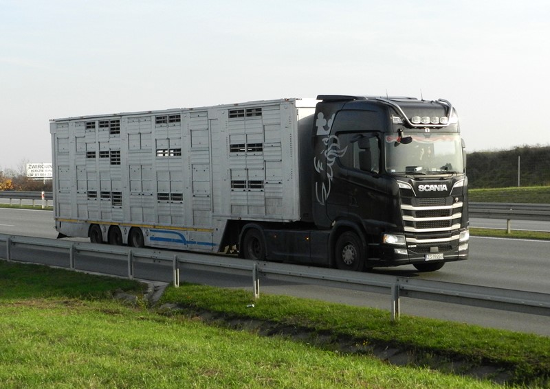 scaniaR.JPG