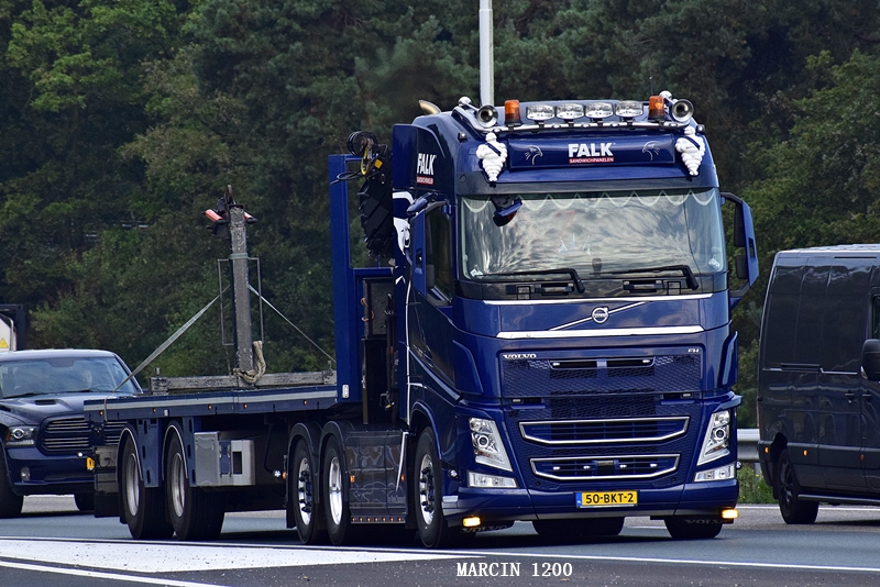 _DSC8113-crop.JPG