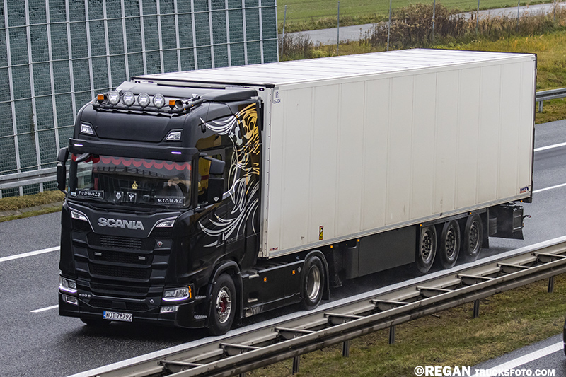 scanias12.jpg